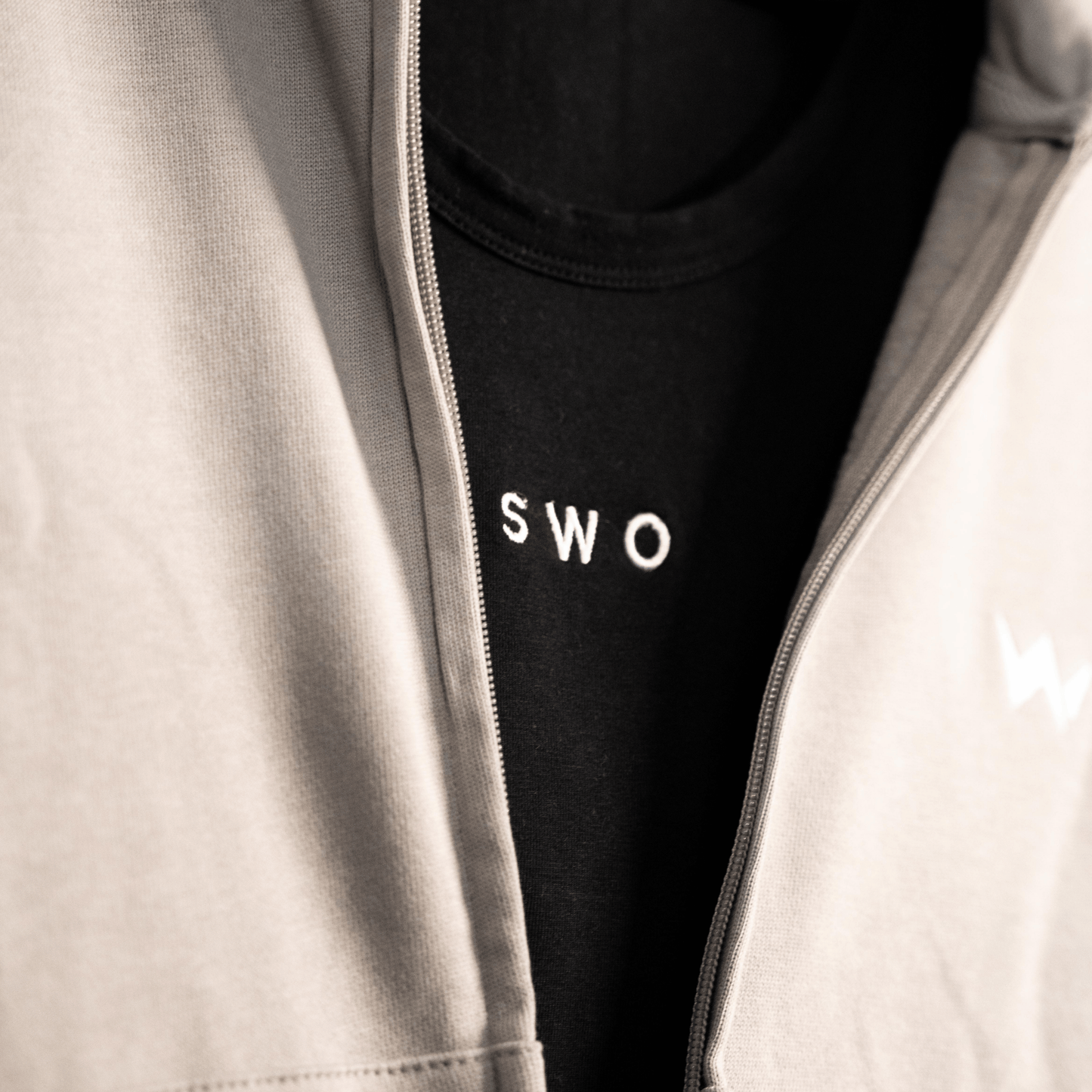 Hoodie Gris - SINGULARITY I