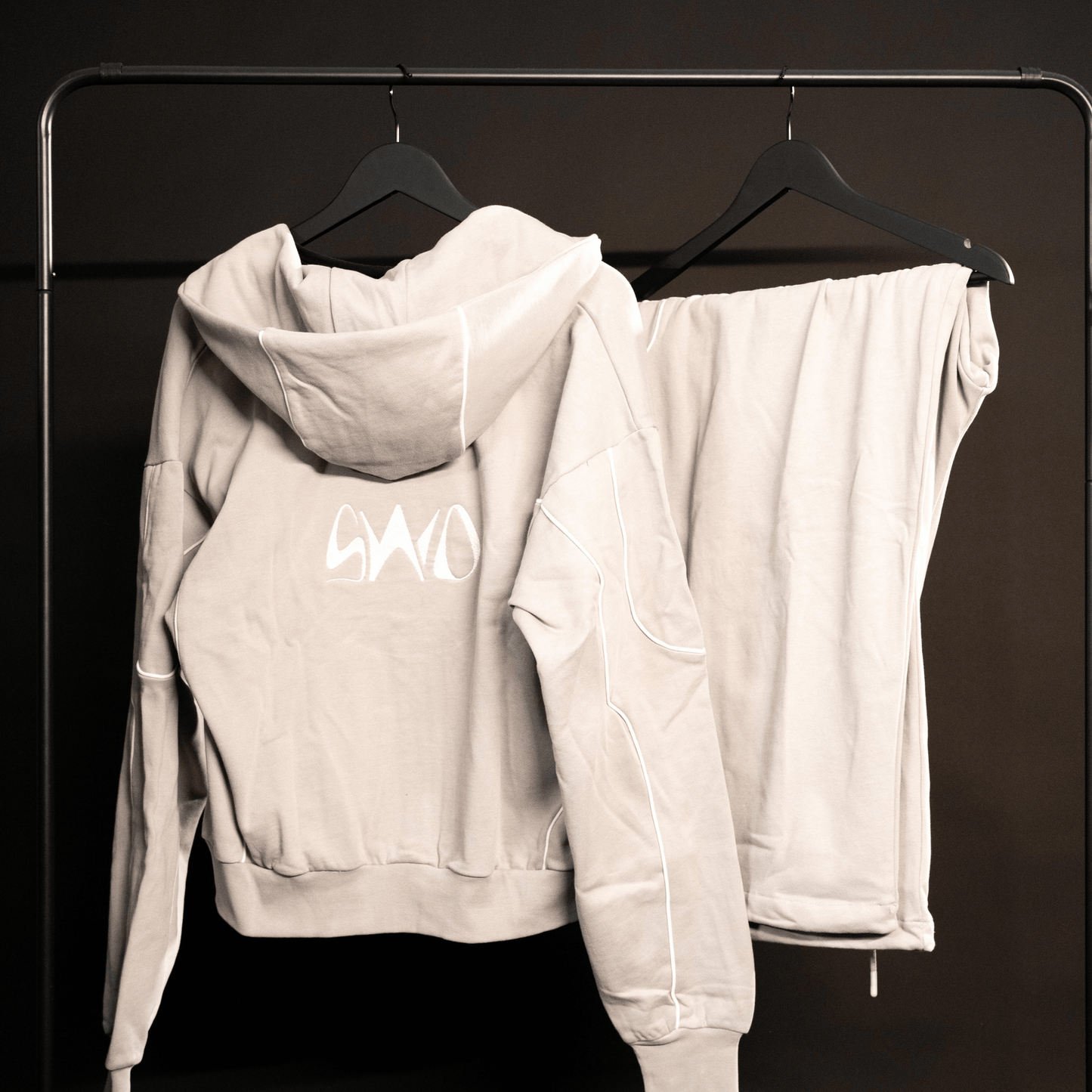 Hoodie Gris - SINGULARITY I