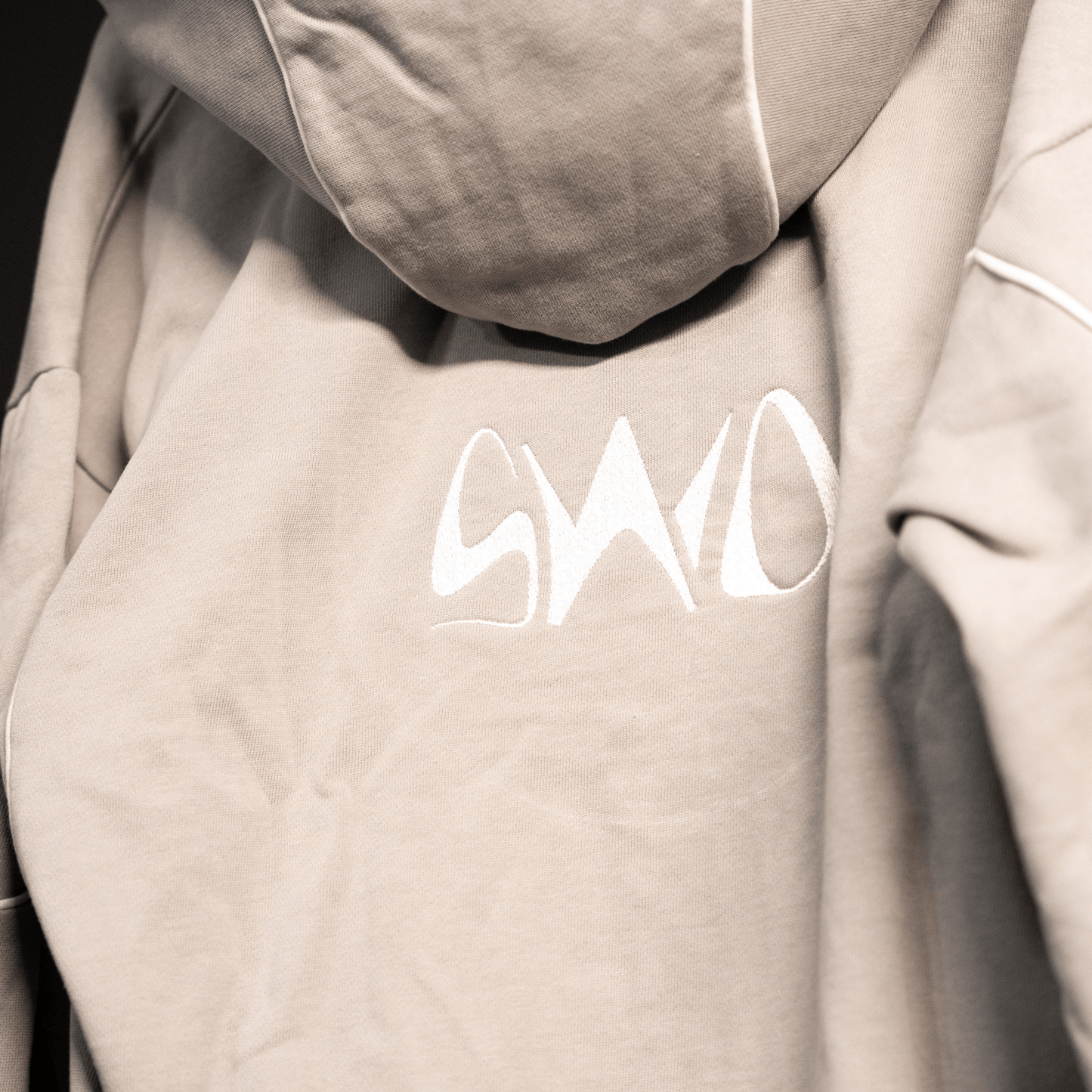 Hoodie Gris - SINGULARITY I