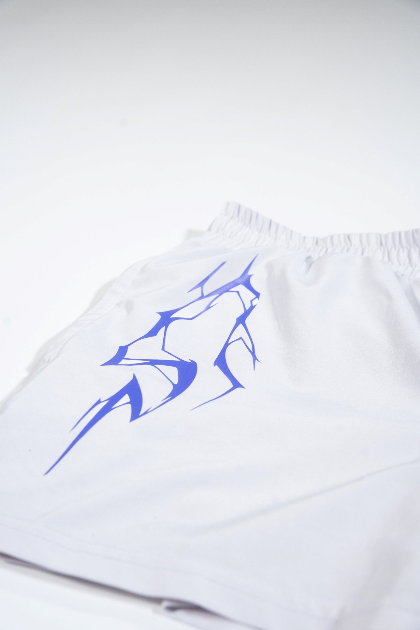 (NEW) SWO WHITE training shorts